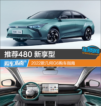 推荐480 新享型 2022款几何G6购车指南