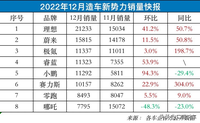 2022新能源汽车市场大洗牌！造车新新势力继续高歌猛进