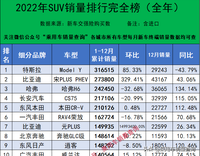 2022年全年汽车终端销量排行/总计1124个车型（含进口）