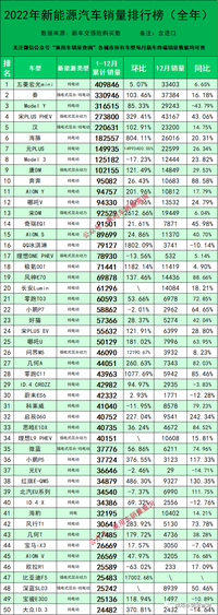 2022年全年新能源汽車上險(xiǎn)量排行榜