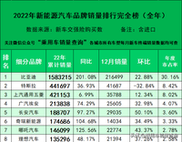 22年新能源汽车细分品牌终端销量排行榜（全年）