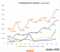 2022年度中国新能源汽车终端销量榜