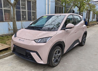 最便宜的比亞迪車型，海鷗來了，對標宏光MINI EV