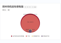 最新發(fā)布：鄭州機動車駕駛人數量破500萬