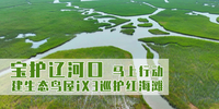 汽势视野：“宝”护辽河口“马”上行动 建生态鸟屋iX3巡护红海滩