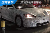 比亞迪新車擬稱“海豹”！車名動物化成為趨勢？