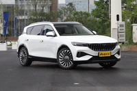 預(yù)算30多萬(wàn)買(mǎi)家用SUV 嵐圖FREE值得考慮嗎？