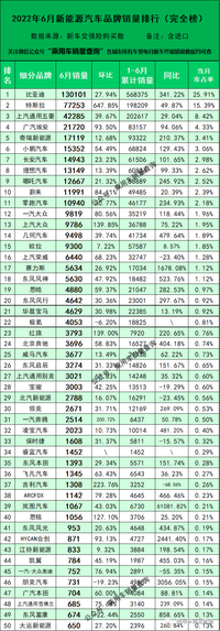 6月新能源汽車細(xì)分品牌終端銷量排行榜