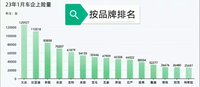 23年1月汽车上险量榜单公布