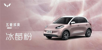 對(duì)標(biāo)比亞迪海鷗 五菱繽果更多官圖發(fā)布
