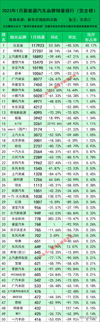 2023年1月新能源汽車細(xì)分品牌上險(xiǎn)量排行榜