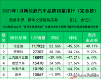 23年1月新能源汽車細分品牌終端銷量排行榜