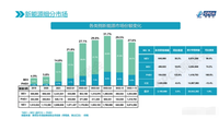 2022年新能源销量，比亚迪，特斯拉占据大部分市场份额