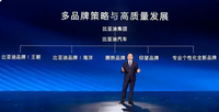 仰望之后又有新品牌！比亞迪、蔚來等開啟團戰模式，孰勝孰負？