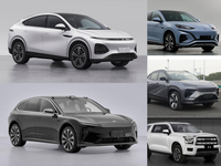 小鵬G6、騰勢N7領銜,工信部重磅新車簡評