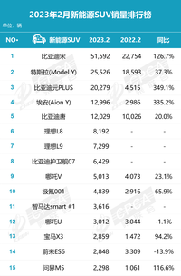 2月新能源SUV銷量前十五：理想賺麻了，寶馬X3新能源又行了？