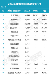 2月新能源轎車排行，特斯拉僅排第七