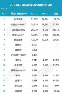 2月新能源SUV排行，比亞迪護(hù)衛(wèi)艦07增速較快