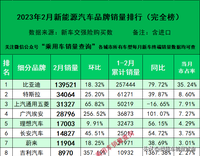 23年2月新能源汽車細(xì)分品牌終端銷量排行榜