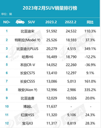 将燃油车挤出榜单前三，2月份SUV销量榜单中新能源车型盘点