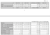 賺翻了！比亞迪2022年凈利潤(rùn)166億元