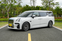 中大型MPV，ZEEKR 009 2023款 WE版，綜合表現如何？