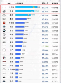 BYD超越大众 中国汽车的销冠时刻