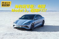 比Model 3便宜4万元，海豹的价格屠刀却砍向P7？