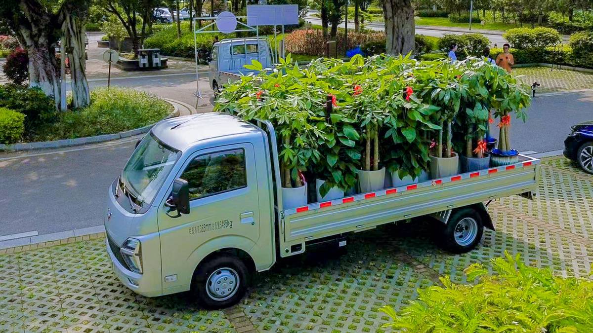 超大微卡，载物不输轻卡，关键才6.28万起售，带你看五菱龙卡