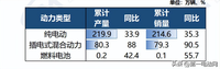 中汽協(xié)：今年前5月，35-40萬價格區(qū)間的新能源乘用車漲幅最大