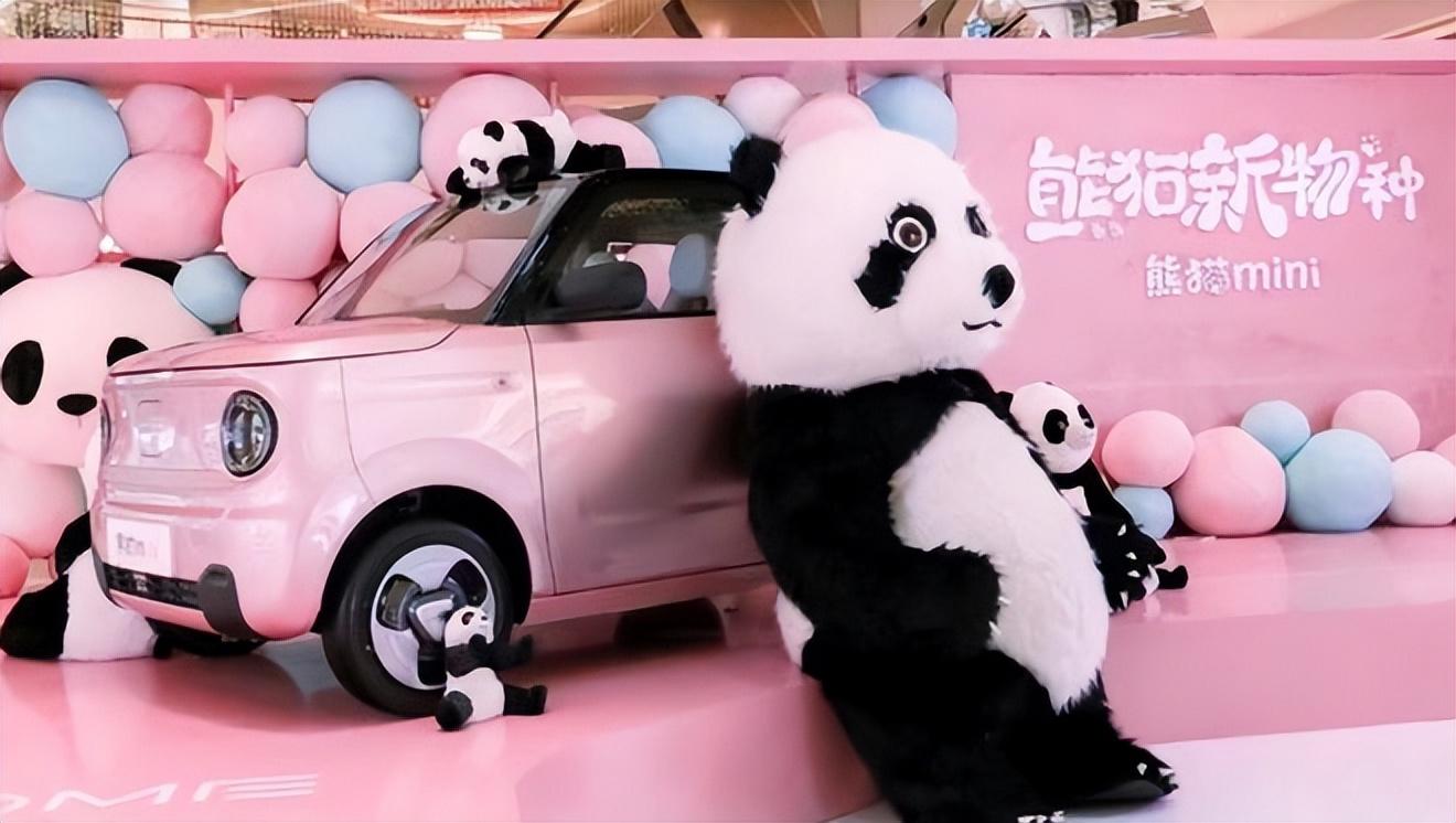 Z时代女消费群体，会不会为熊猫MINI买单？