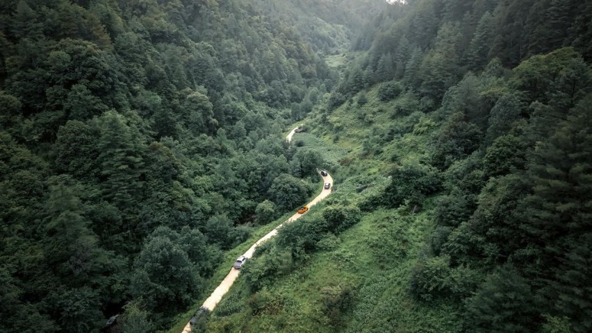 福特帶你探索大自然，共同保護(hù)生態(tài)環(huán)境