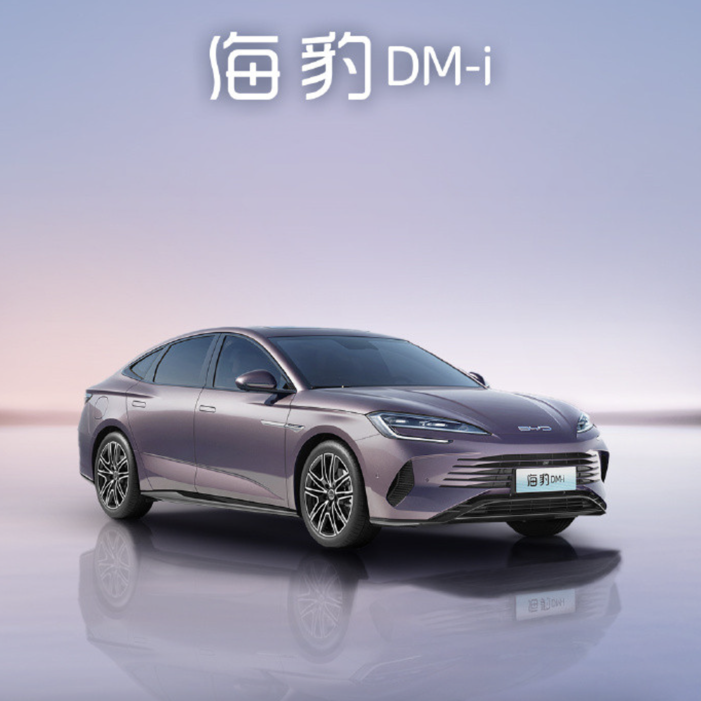 18-25万？比亚迪海豹DM-i定价16万左右才是合理的！