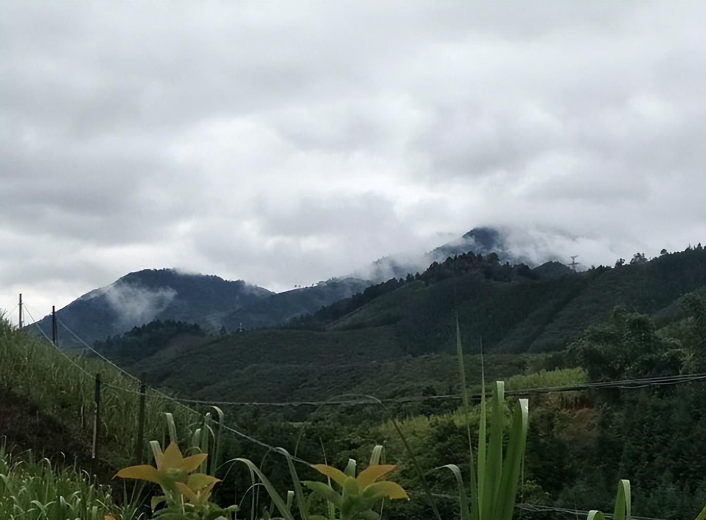 自驾出门，让我的福特翼虎带我去大山里避暑