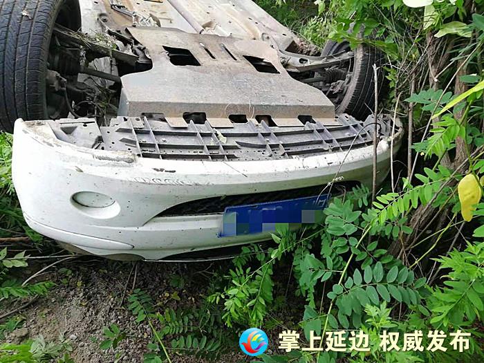 飛來橫禍!野山雞“肇事”我州倆車高速中招受損
