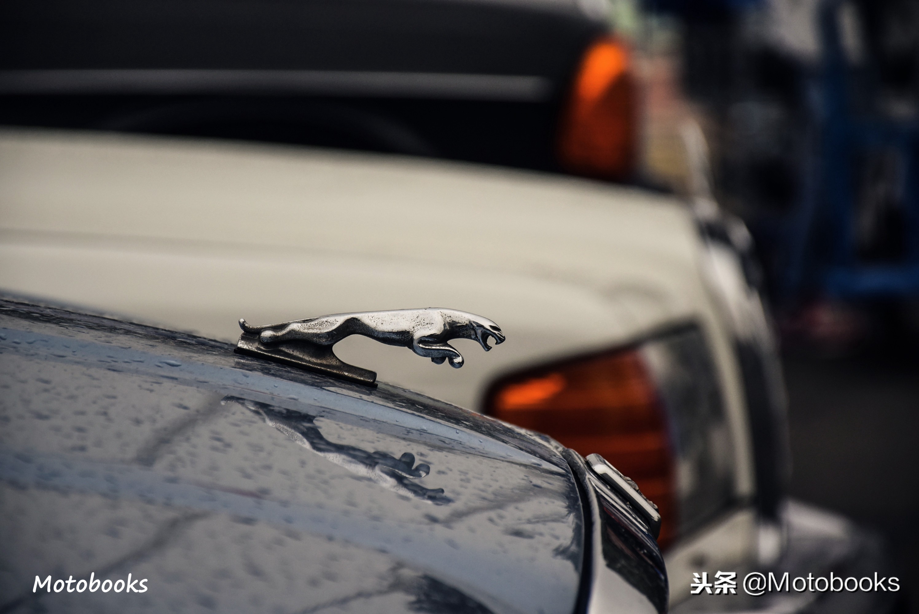 老车|捷豹 Jaguar XJ6 这不叫怀念,叫崇拜