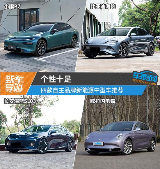 個性十足 四款自主品牌新能源中型車推薦