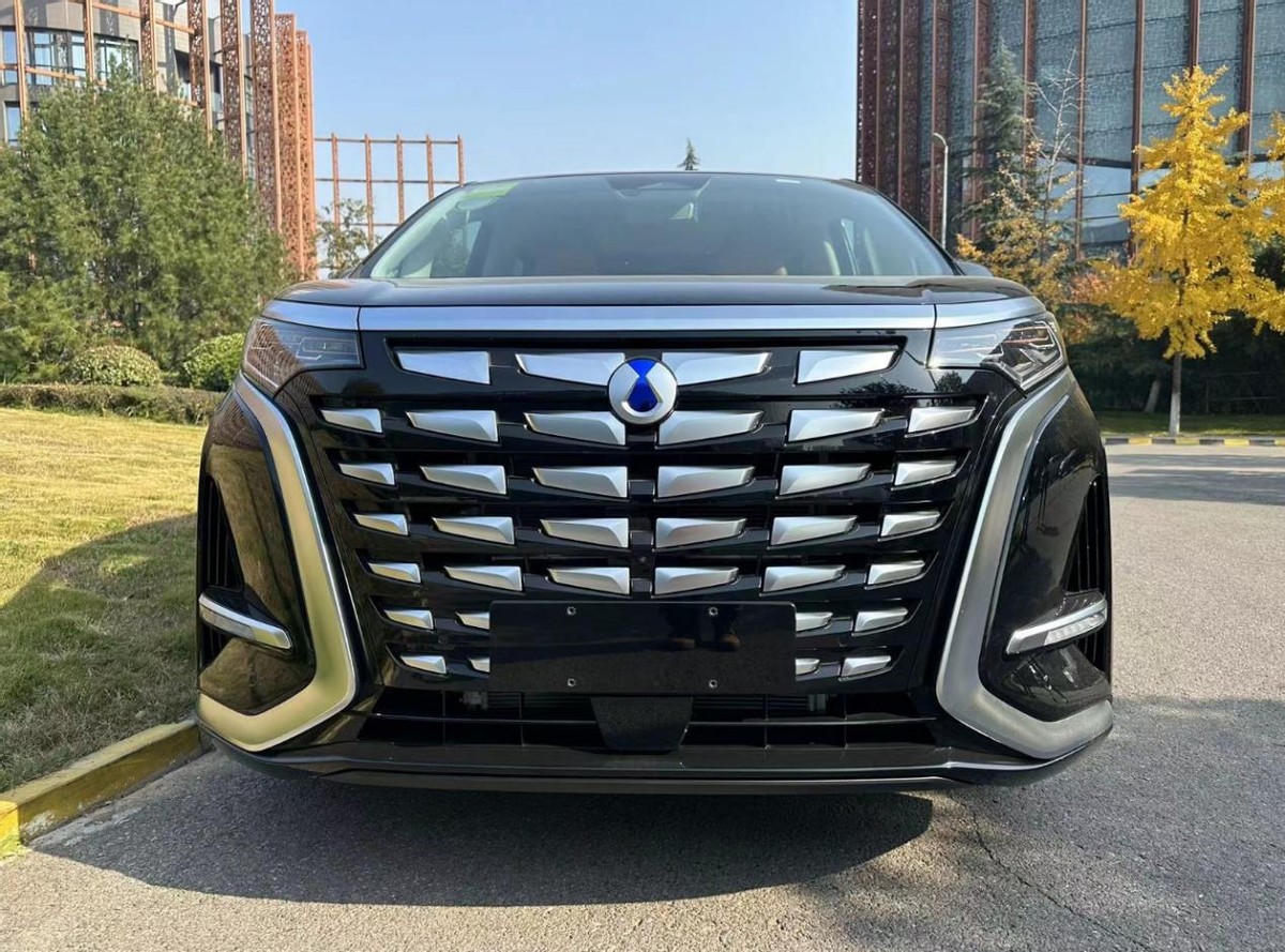 提車騰勢(shì)D9,DM-i插混,云輦-C懸掛,車門安全保護(hù)桿