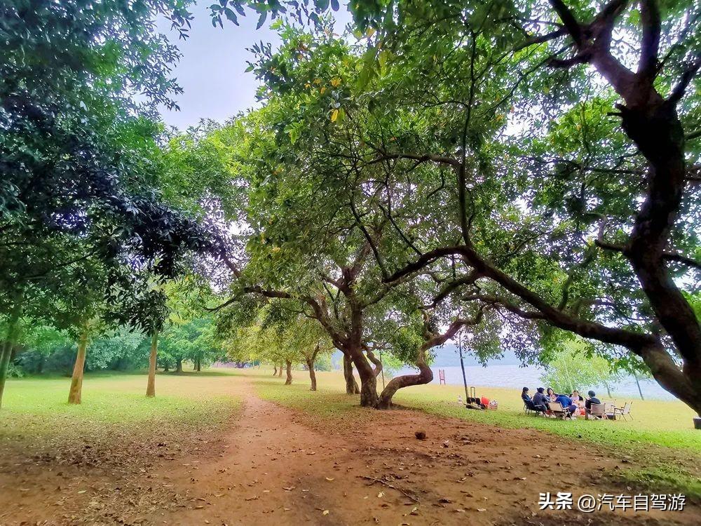 自驾广东湛江雷州半岛6玩点详解,穿越雷琼陆谷火山带(附地图)