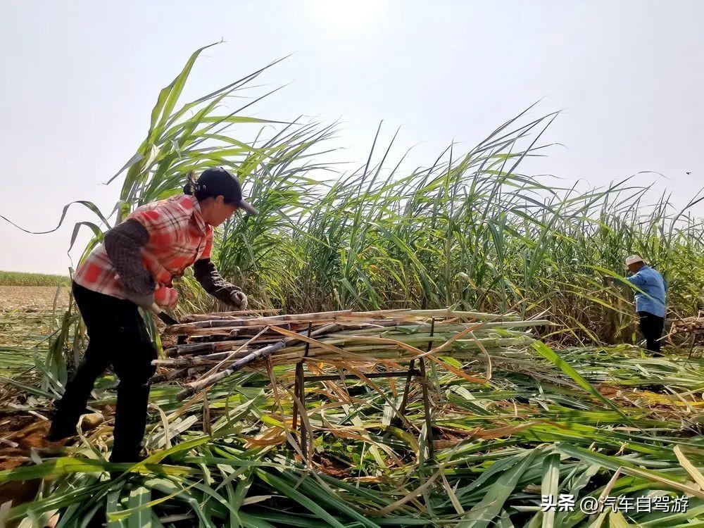 自驾广东湛江雷州半岛6玩点详解，穿越雷琼陆谷火山带（附地图）