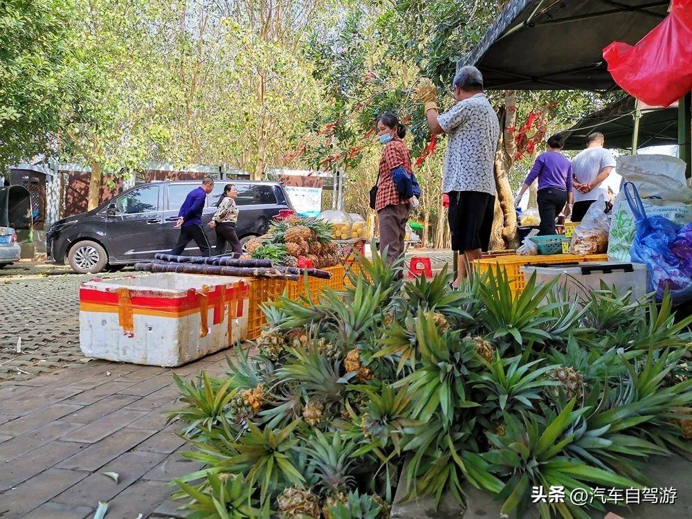 自驾广东湛江雷州半岛6玩点详解,穿越雷琼陆谷火山带(附地图)