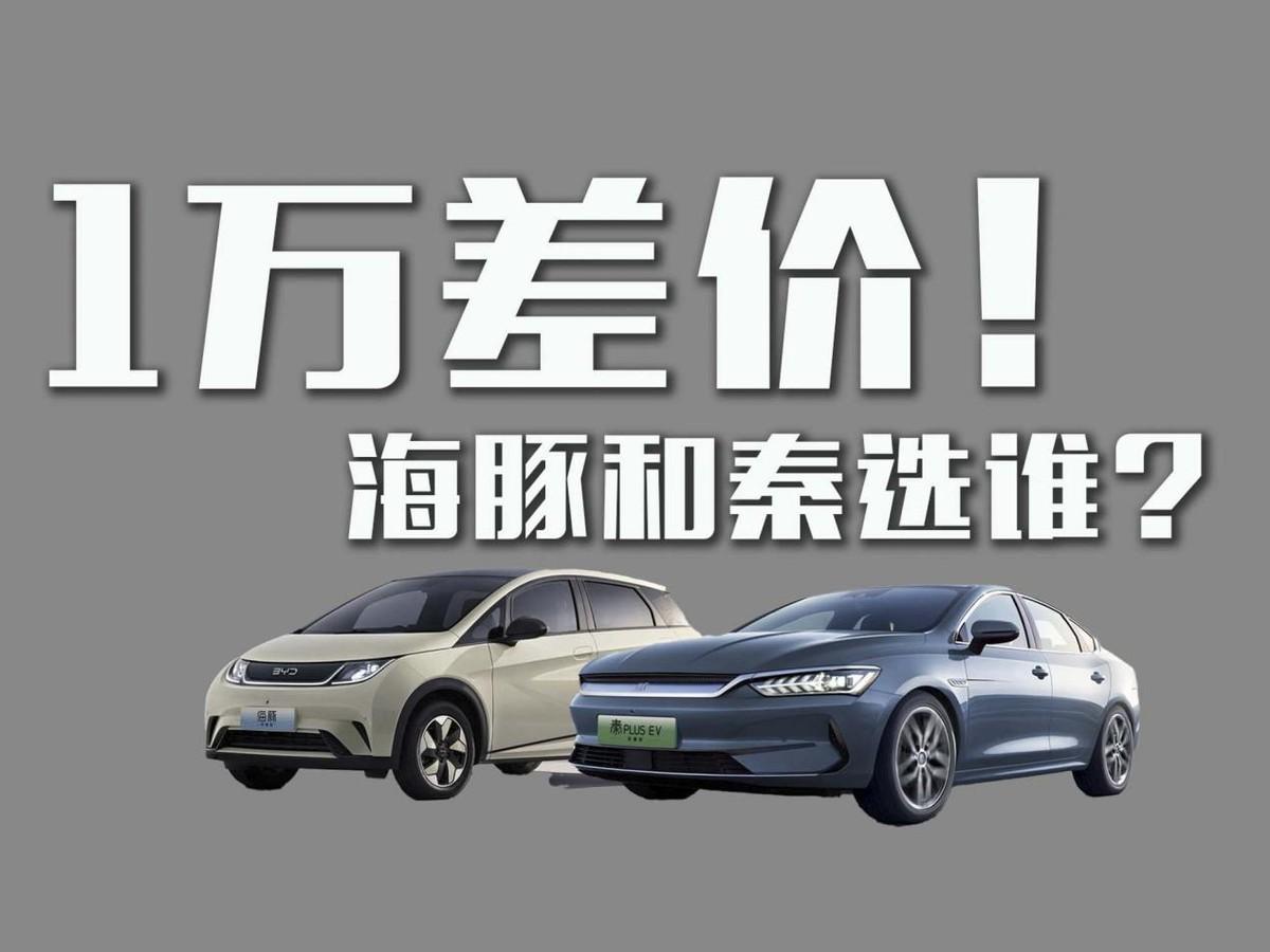 详细阅读:相差1万的荣耀版!海豚和秦PLUS选哪款? 相差1万的荣耀版!海豚和秦PLUS选哪款?