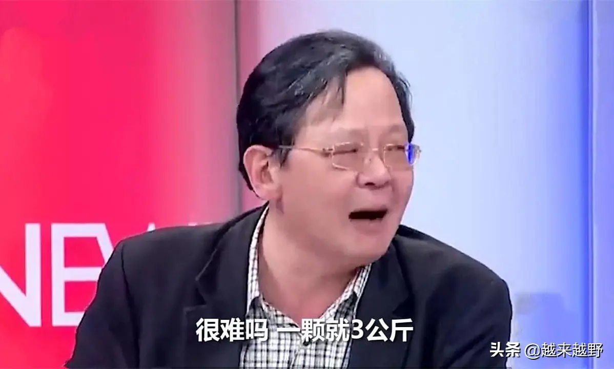 人很能吃鳳梨，車很能燒汽油：臺灣汽車品牌納智捷你了解多少？