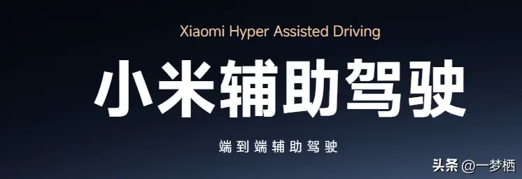【突發(fā)】小米汽車更名！雷軍降職處理