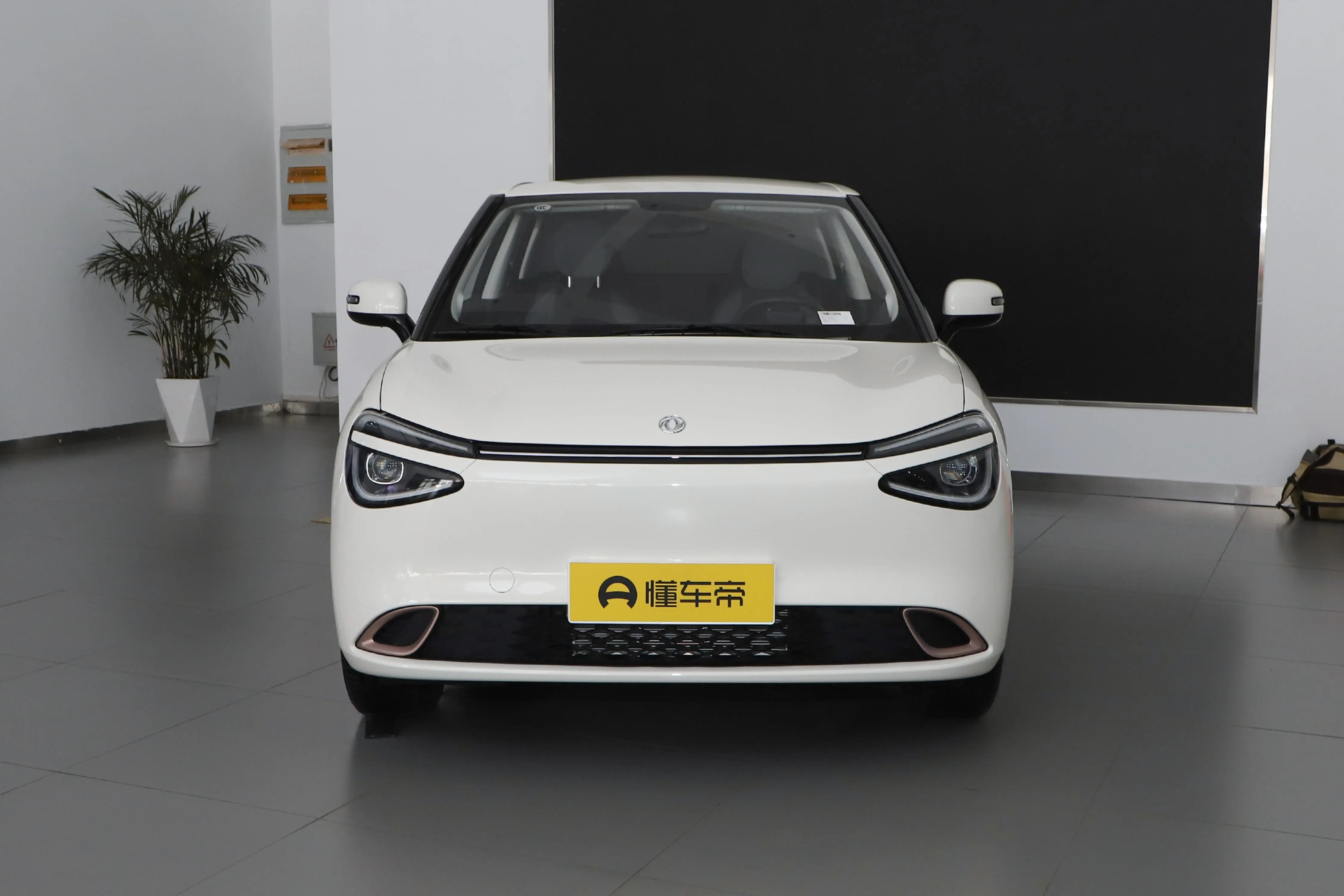 6萬(wàn)級(jí)純電SUV！無(wú)邊框車門 VS 隱藏式行李艙，這兩臺(tái) 電車咋選？