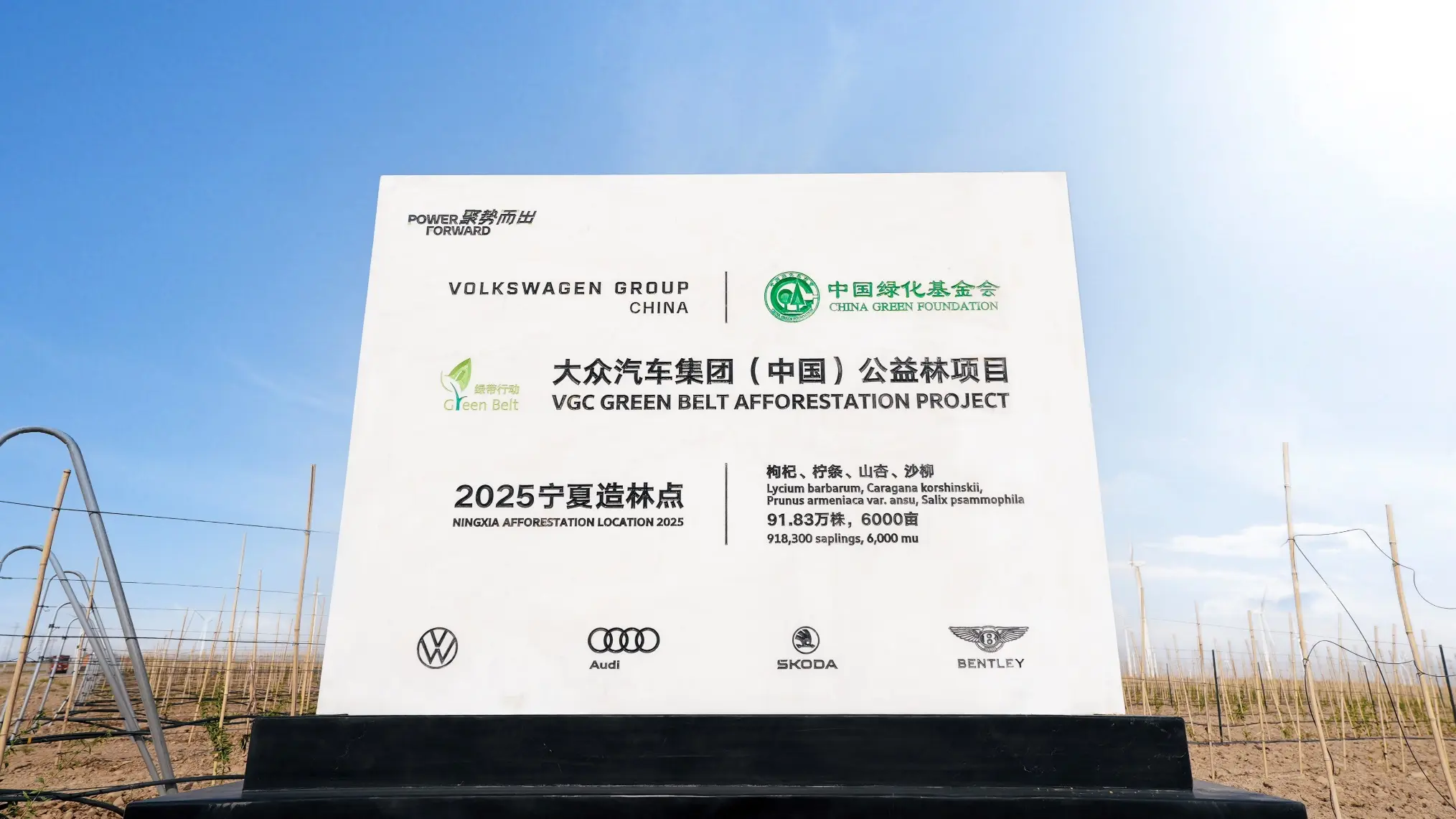 五年四省六市，大眾中國“綠帶行動”助力兩千萬平米沙地?zé)ㄉ鷻C