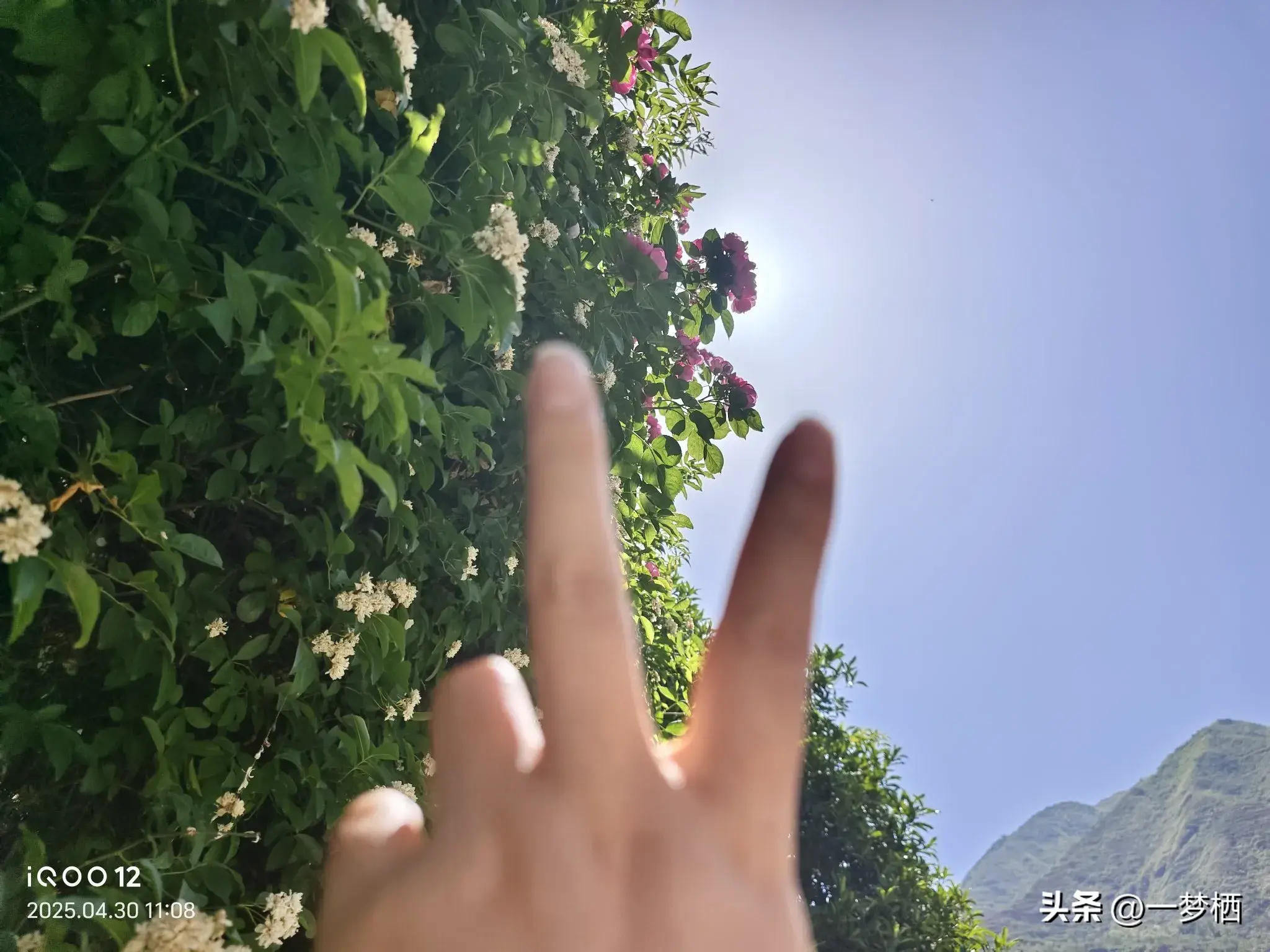 2024年中國(guó)車企研發(fā)費(fèi)用排行榜