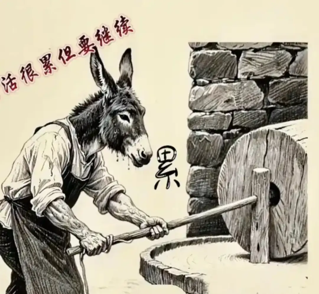 痛定思痛2025半年報：再也不能這樣活
