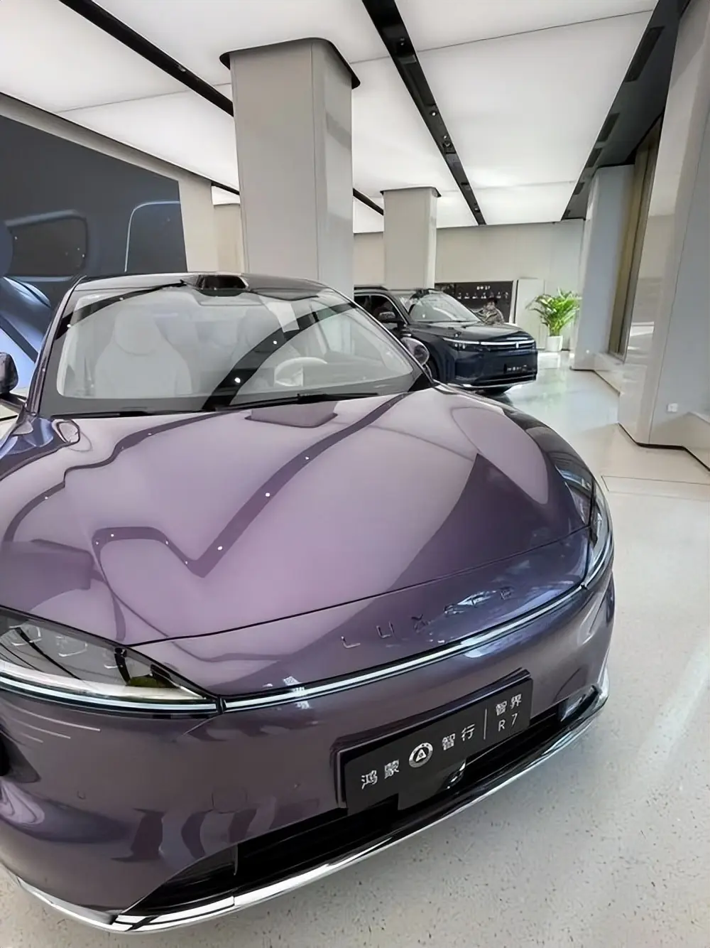 華為版Model Y，為何至今賠錢賣
