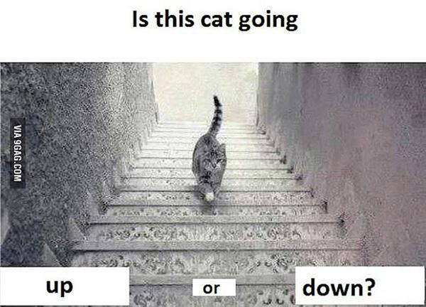 5333021_1428909534187.jpg